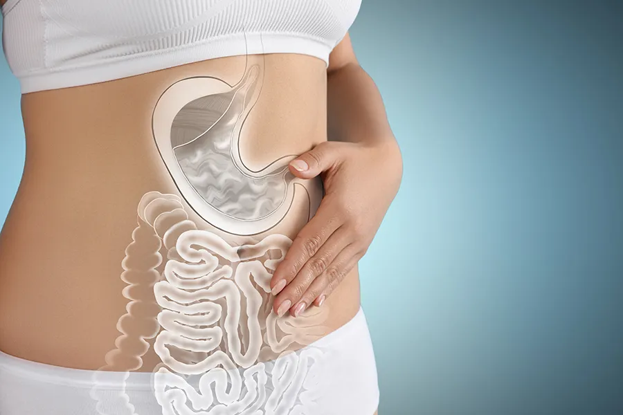 Gut-Health-Doctor Close up of the midriff of a woman with white underwear and an illustration of the digestive system superimposed over the image. Get help for digestive issues and gut health from Tanya Zboril, NP of TBT Medical in Ottawa–Gatineau.