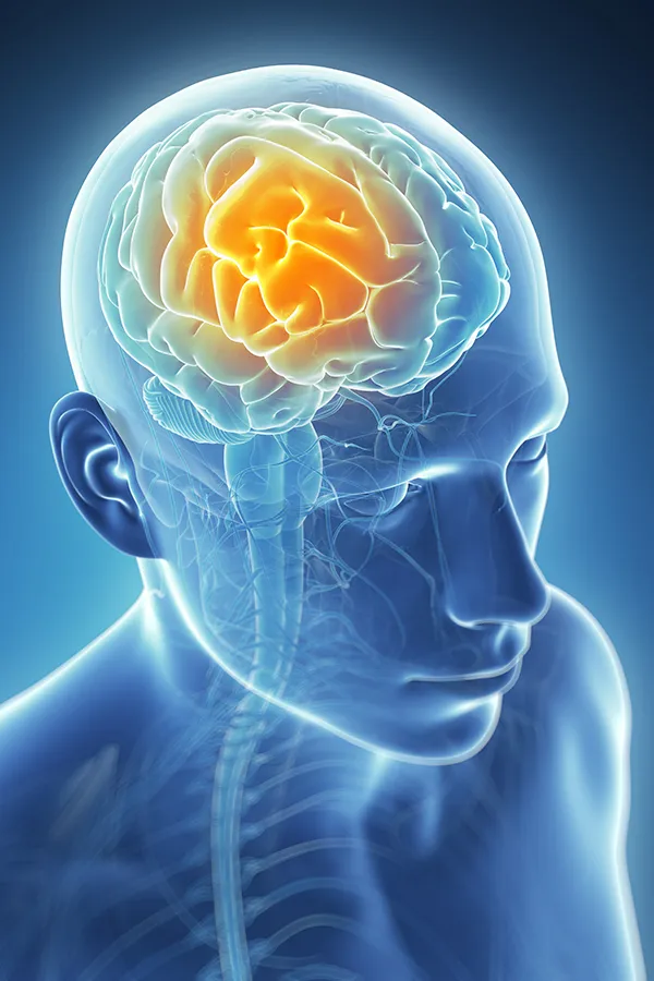 3D illustration of the brain with glowing pain center. Tanya Zboril, NP of TBT Medical treats migraines using functional medicine in Ottawa–Gatineau.